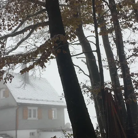 Amdenlodge - Berg Chalet In Amden Am Walenssee - Event, Seminar, Ferienlager Vandrarhem Amden