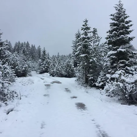 Vandrarhem Amdenlodge - Berg Chalet In Amden Am Walenssee - Event, Seminar, Ferienlager