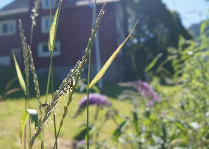 Amdenlodge - Berg Chalet In Amden Am Walenssee - Event, Seminar, Ferienlager Hostel Amden