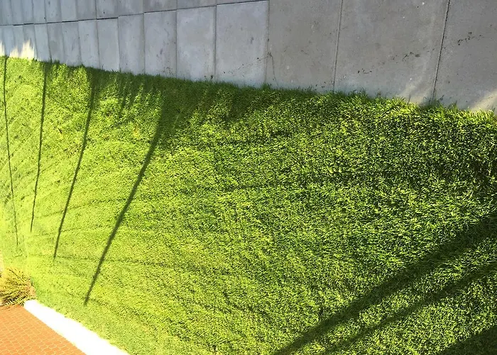 Amdenlodge - Berg Chalet In Amden Am Walenssee - Event, Seminar, Ferienlager Amden