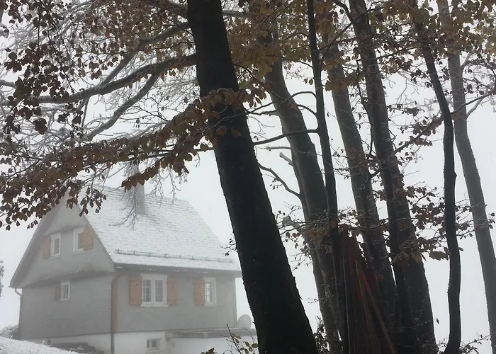 Amdenlodge - Berg Chalet In Amden Am Walenssee - Event, Seminar, Ferienlager Hostel Amden