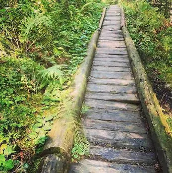 Amdenlodge - Berg Chalet In Amden Am Walenssee - Event, Seminar, Ferienlager * Amden