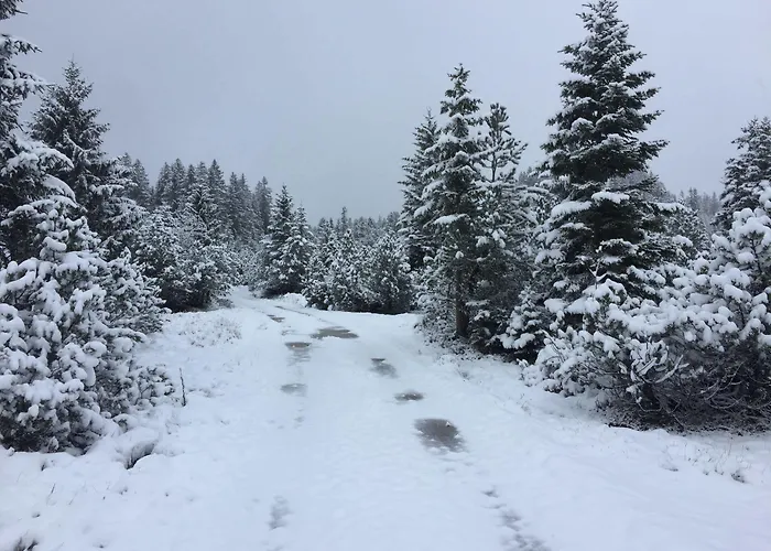 Hostel Amdenlodge - Berg Chalet In Amden Am Walenssee - Event, Seminar, Ferienlager