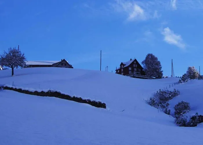 Amdenlodge - Berg In Am Walenssee - Event, Seminar, Ferienlager Ostello