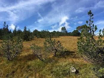 Ostello Amdenlodge - Berg In Am Walenssee - Event, Seminar, Ferienlager Amden