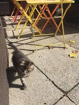 Amdenlodge - Berg Chalet In Amden Am Walenssee - Event, Seminar, Ferienlager *